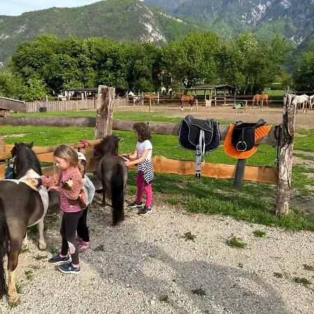 Agritur Airone Bed & Bed & Breakfast *