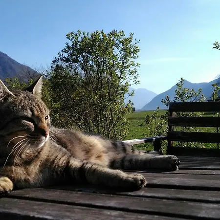 Agritur Airone Bed &
