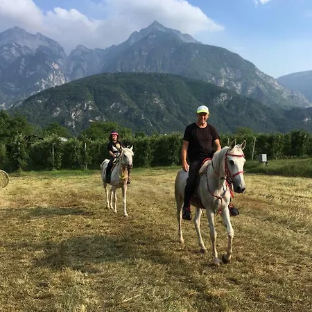 Agritur Airone Bed & Bed & Breakfast Levico Terme